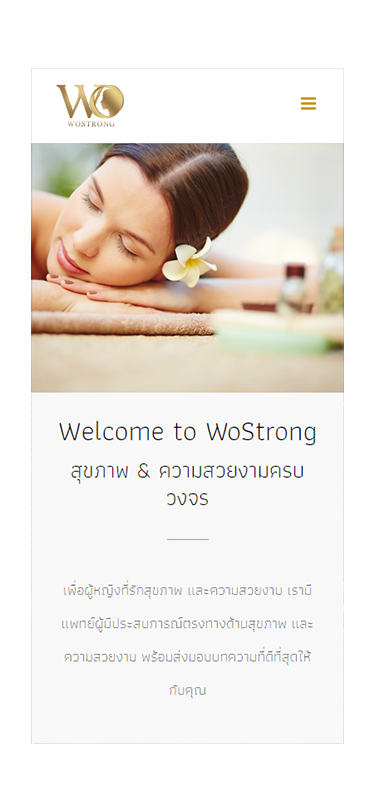ผลงานพัฒนา และออกแบบเว็บไซต์ 6